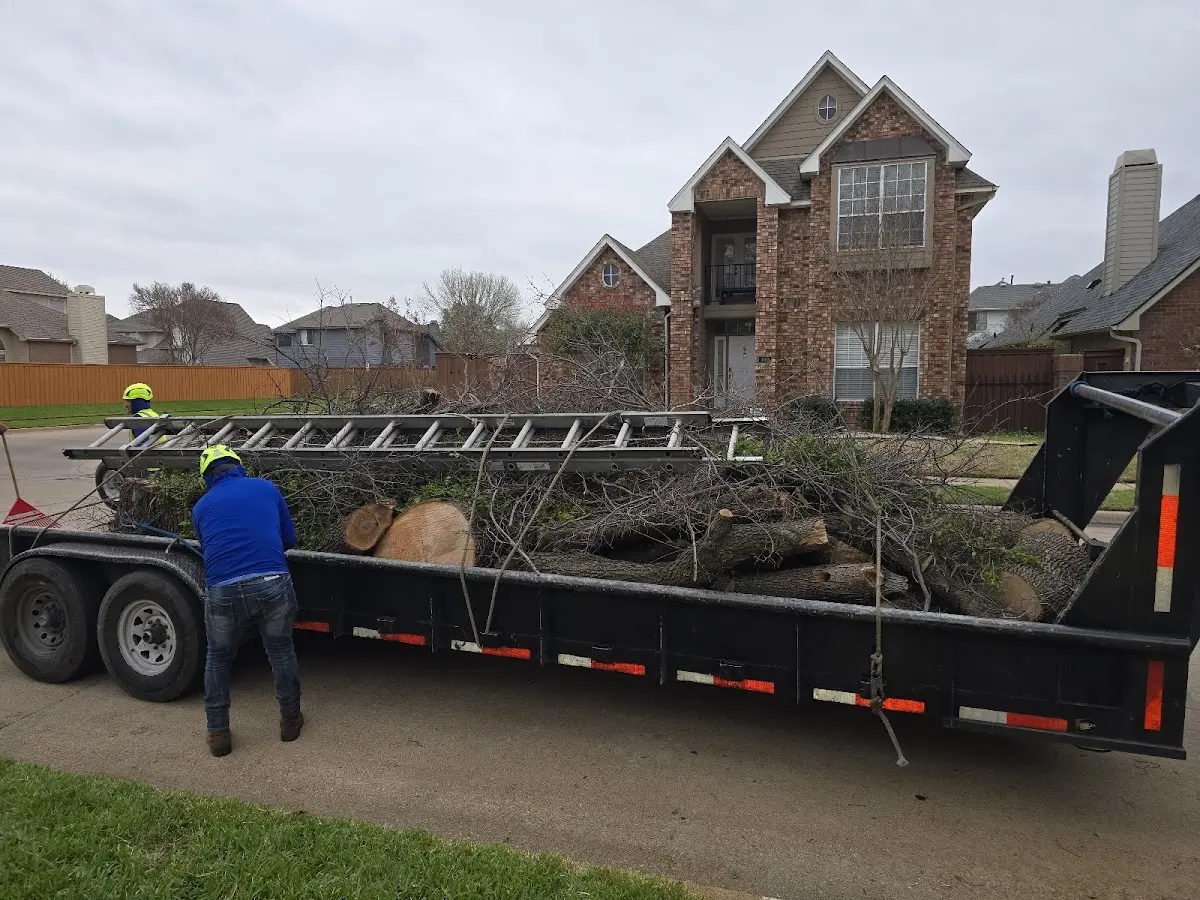 Expert Tree Fertilization with proper safety equipment in Hickman